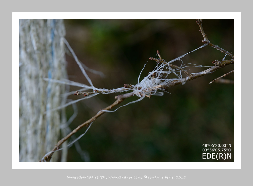 eden, (r), photographie et infographie , ronan le berre, elnanor, imagier