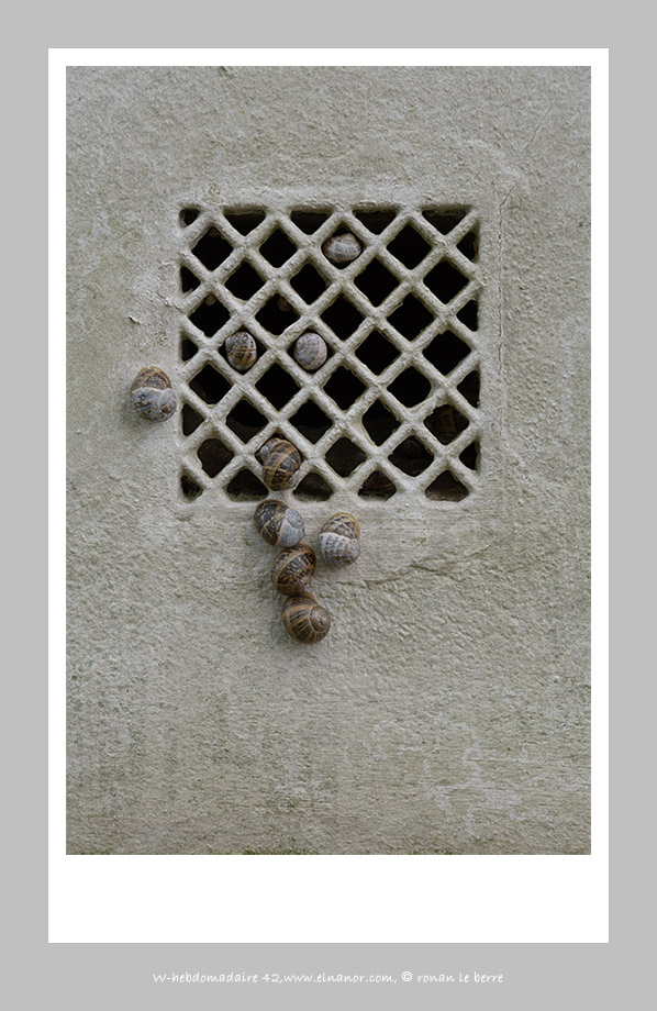 photographie, escargot, bouche de ventilation , ronan le berre, elnanor, imagier