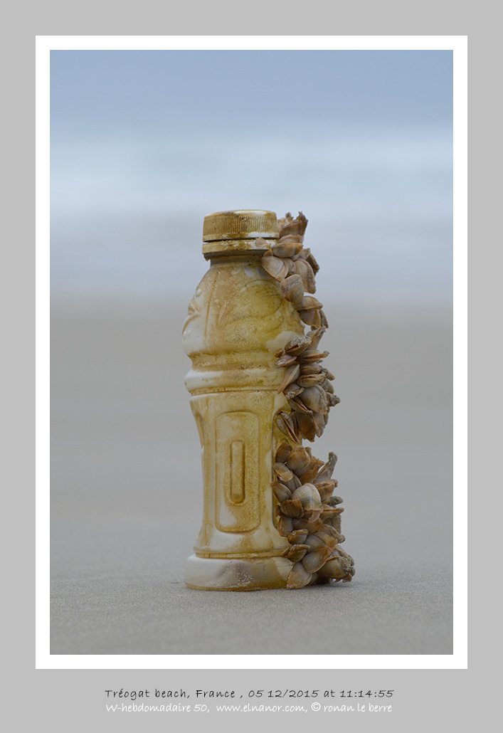 photographie, bouteille plastique et coquillage sur la plage de Tréogat, w-hebdo 50, année 2015 , ronan le berre, elnanor, imagier